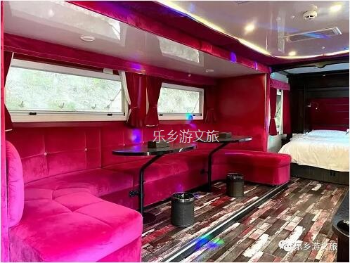 乡村旅游：【度假】树影与星空交织，在大自然中享受假期的浪漫