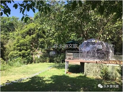 乡村旅游：【度假】树影与星空交织，在大自然中享受假期的浪漫