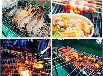 乡村旅游：【度假】树影与星空交织，在大自然中享受假期的浪漫