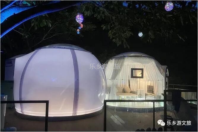 乡村旅游：【度假】树影与星空交织，在大自然中享受假期的浪漫