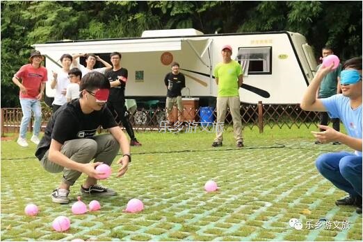 乡村旅游：【度假】树影与星空交织，在大自然中享受假期的浪漫