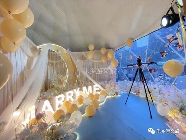 乡村旅游：【度假】树影与星空交织，在大自然中享受假期的浪漫