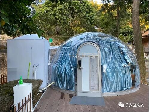 乡村旅游：【度假】树影与星空交织，在大自然中享受假期的浪漫