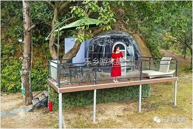 乡村旅游：【度假】树影与星空交织，在大自然中享受假期的浪漫