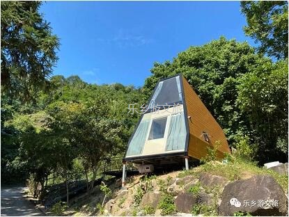 乡村旅游：【度假】树影与星空交织，在大自然中享受假期的浪漫
