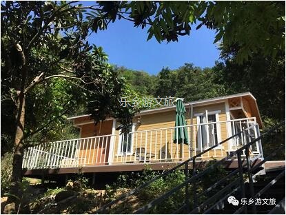 乡村旅游：【度假】树影与星空交织，在大自然中享受假期的浪漫