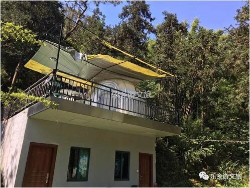 乡村旅游：【度假】树影与星空交织，在大自然中享受假期的浪漫