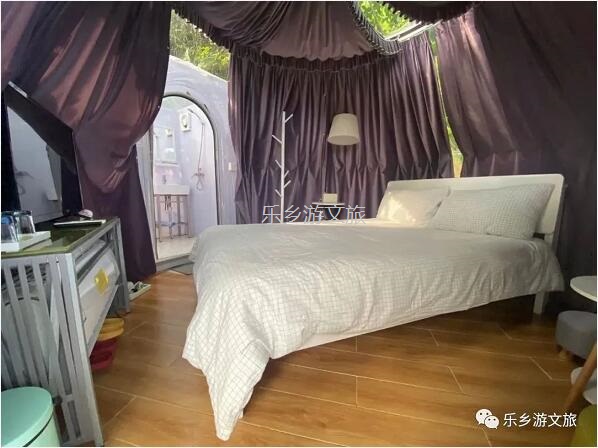乡村旅游：【度假】树影与星空交织，在大自然中享受假期的浪漫