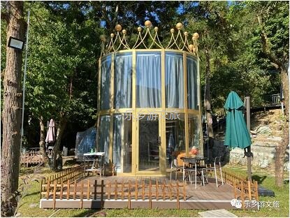 乡村旅游：【度假】树影与星空交织，在大自然中享受假期的浪漫