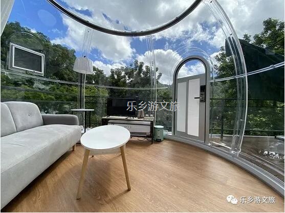 乡村旅游：【度假】树影与星空交织，在大自然中享受假期的浪漫