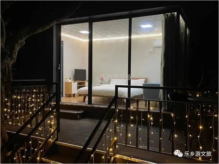 乡村旅游：【度假】树影与星空交织，在大自然中享受假期的浪漫