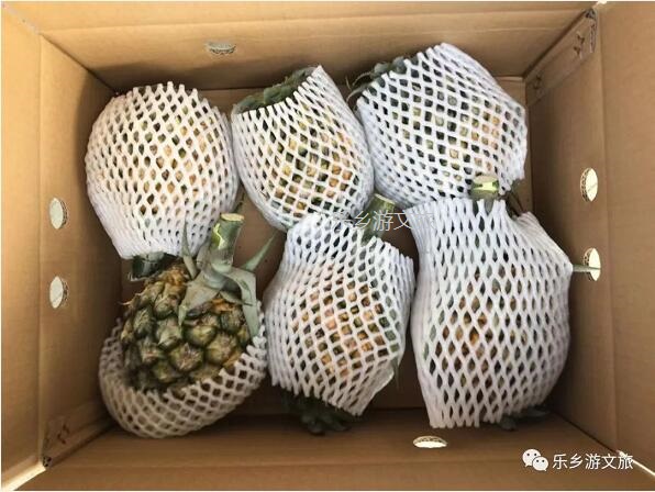 <a href=http://www.lexiangyou.org/xiangcunlvyou/ target=_blank class=infotextkey>乡村旅游</a>：【名优】爽脆+即食+蜜甜，又到成熟季