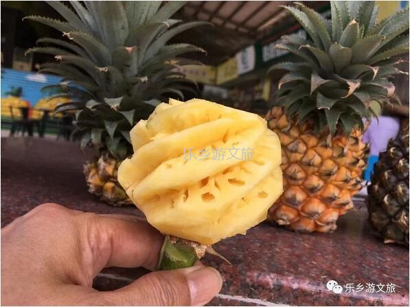 <a href=http://www.lexiangyou.org/xiangcunlvyou/ target=_blank class=infotextkey>乡村旅游</a>：【名优】爽脆+即食+蜜甜，又到成熟季