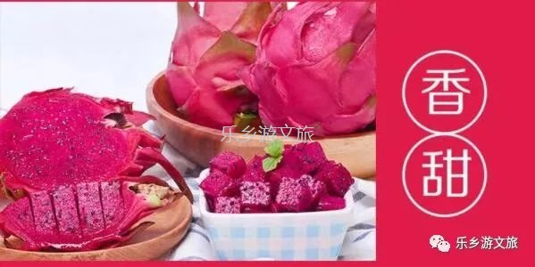 <a href=http://www.lexiangyou.org/xiangcunlvyou/ target=_blank class=infotextkey>乡村旅游</a>:【树上熟】鲜嫩爽滑,香甜多汁;美容美颜,清热解毒
