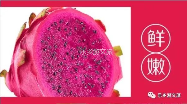 <a href=http://www.lexiangyou.org/xiangcunlvyou/ target=_blank class=infotextkey>乡村旅游</a>：【树上熟】鲜嫩爽滑，香甜多汁；美容美颜，清热解毒