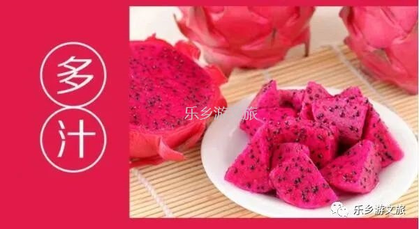 <a href=http://www.lexiangyou.org/xiangcunlvyou/ target=_blank class=infotextkey>乡村旅游</a>：【树上熟】鲜嫩爽滑，香甜多汁；美容美颜，清热解毒