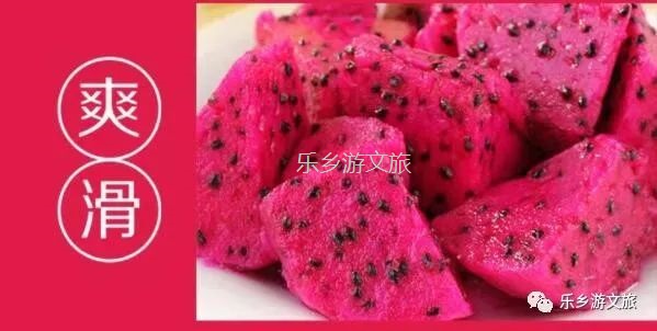 <a href=http://www.lexiangyou.org/xiangcunlvyou/ target=_blank class=infotextkey>乡村旅游</a>：【树上熟】鲜嫩爽滑，香甜多汁；美容美颜，清热解毒