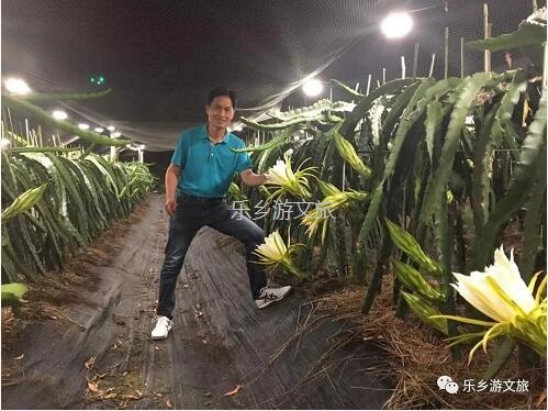 <a href=http://www.lexiangyou.org/xiangcunlvyou/ target=_blank class=infotextkey>乡村旅游</a>：【树上熟】鲜嫩爽滑，香甜多汁；美容美颜，清热解毒