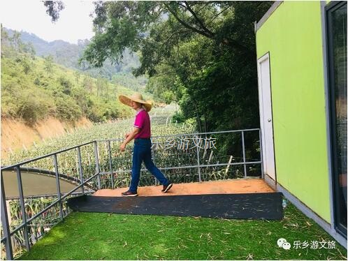 <a href=http://www.lexiangyou.org/xiangcunlvyou/ target=_blank class=infotextkey>乡村旅游</a>：【树上熟】鲜嫩爽滑，香甜多汁；美容美颜，清热解毒