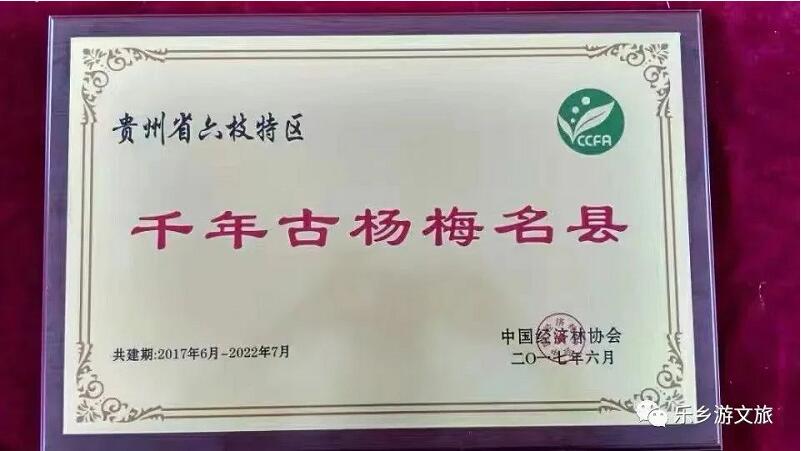 <a href=http://www.lexiangyou.org/xiangcunlvyou/ target=_blank class=infotextkey>乡村旅游</a>：【古树盛果】果肉细嫩，酸甜适口，风味浓郁；欢迎品尝